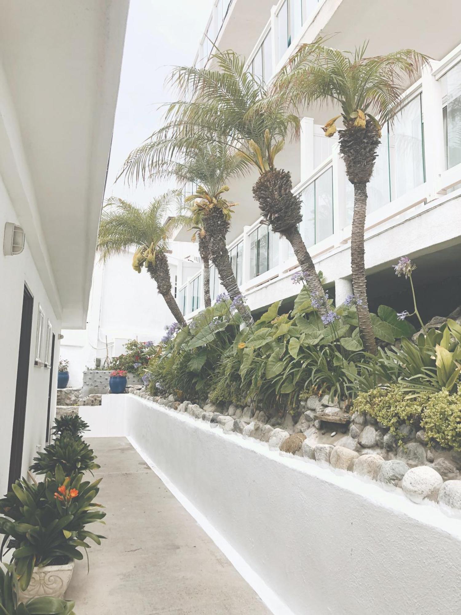 Capri Laguna On The Beach - A Boutique Hotel Laguna Beach Exteriér fotografie
